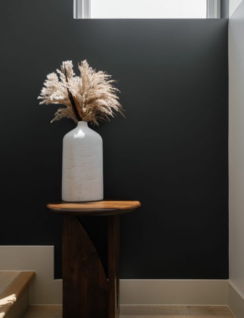 Becca Lea Photography, Claudia Howard Design, Austin Interior Design, Austin Interior Photographer